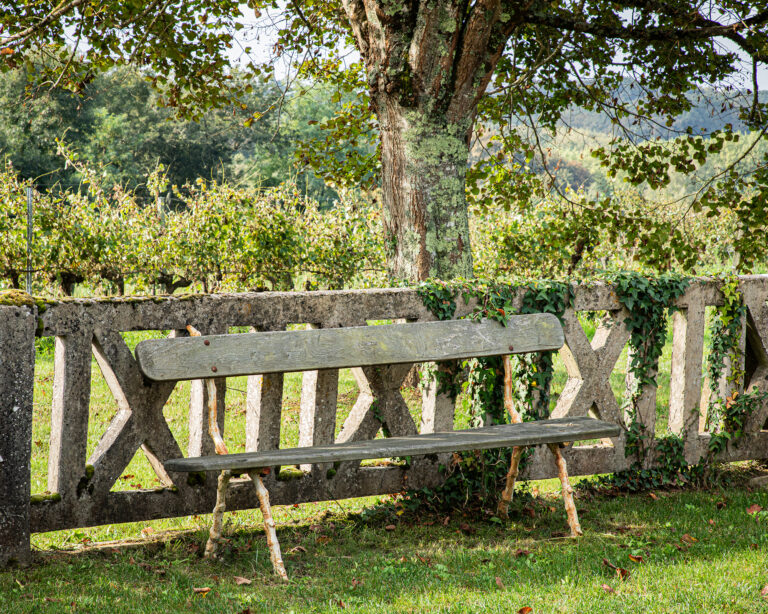 Ambiance paisible face au Domaine de Targuerie, avec un banc sous les arbres